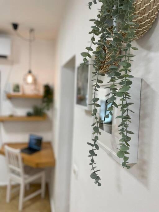Tko'a #2 Apartment *